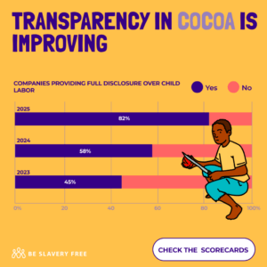 Child Labor In Cocoa Production Between 2020-2025: Why Global Certification Schemes Are Failing 3 Insights_in_depth_-_transparency-1024x1024