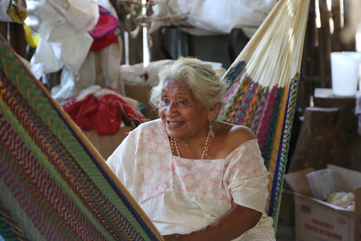 The Neglected Tropical Diseases Funding Crisis In Africa and Rest Of World 3 The Philanthropic Pivot: Shifting Priorities of Mega-Donors